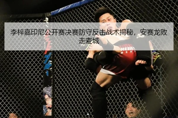 李梓嘉印尼公开赛决赛防守反击战术揭秘，安赛龙败走麦城